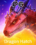 Dragon Hatch